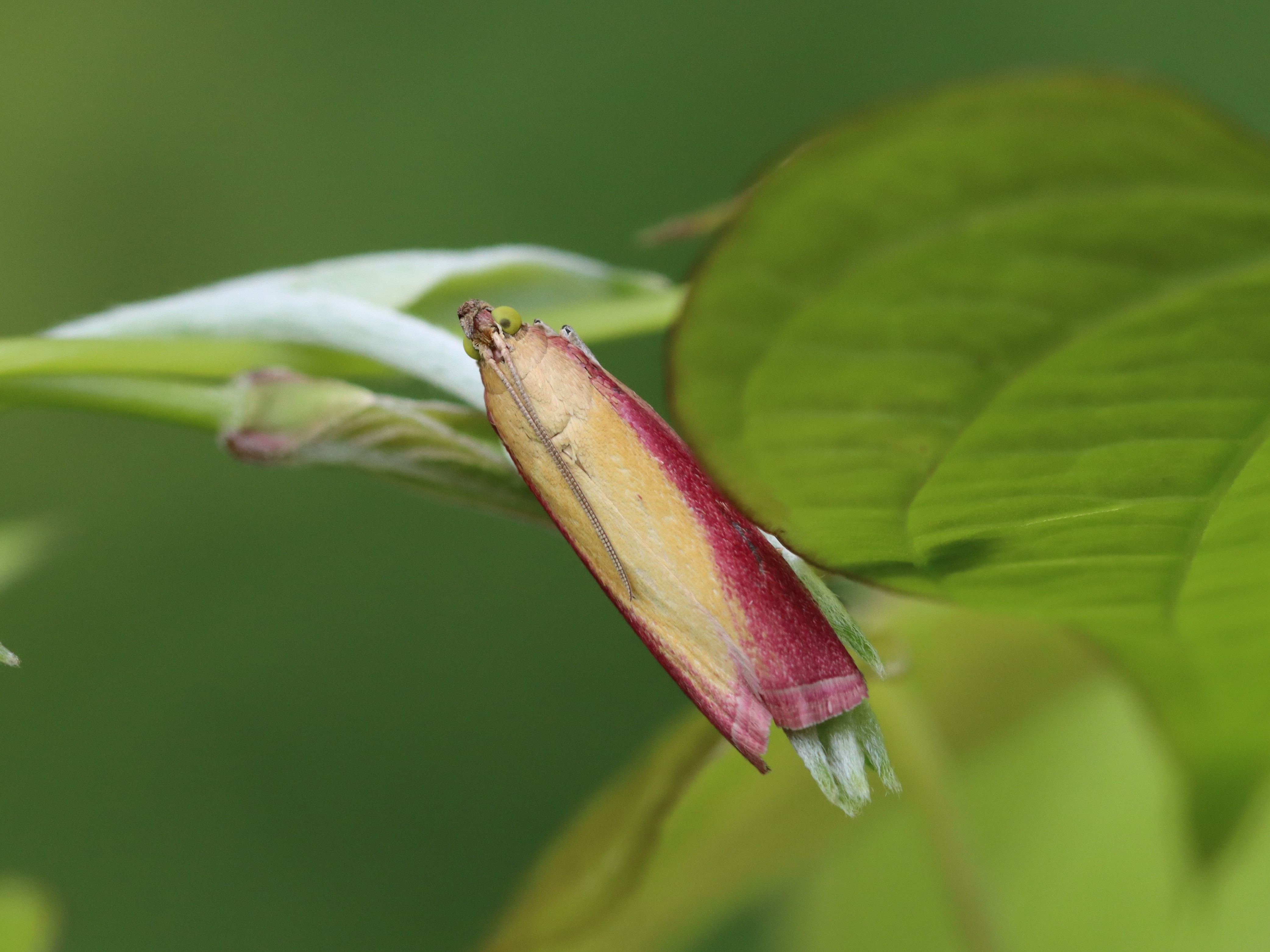 photo_1